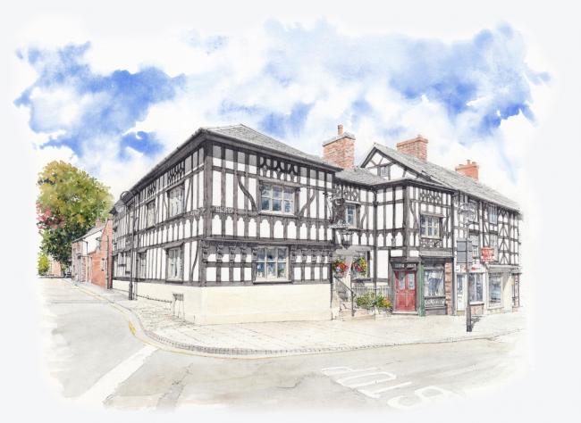 Finished Bear Illustration